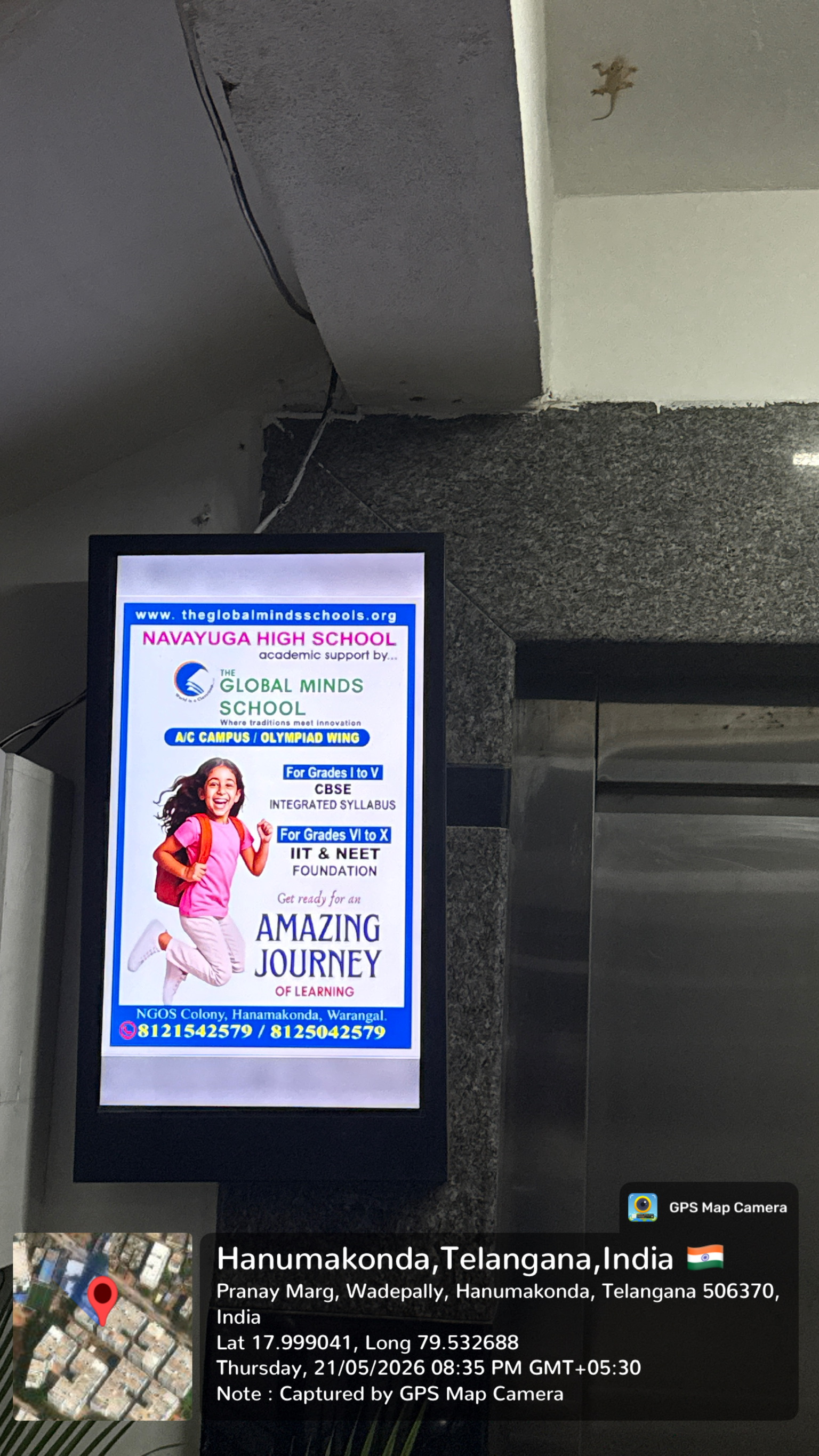 Naik Media Ads